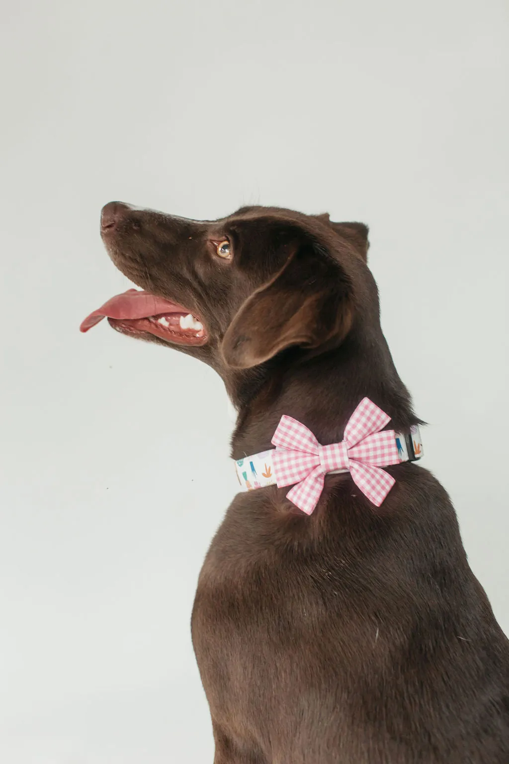 Baby Pink Mini Gingham