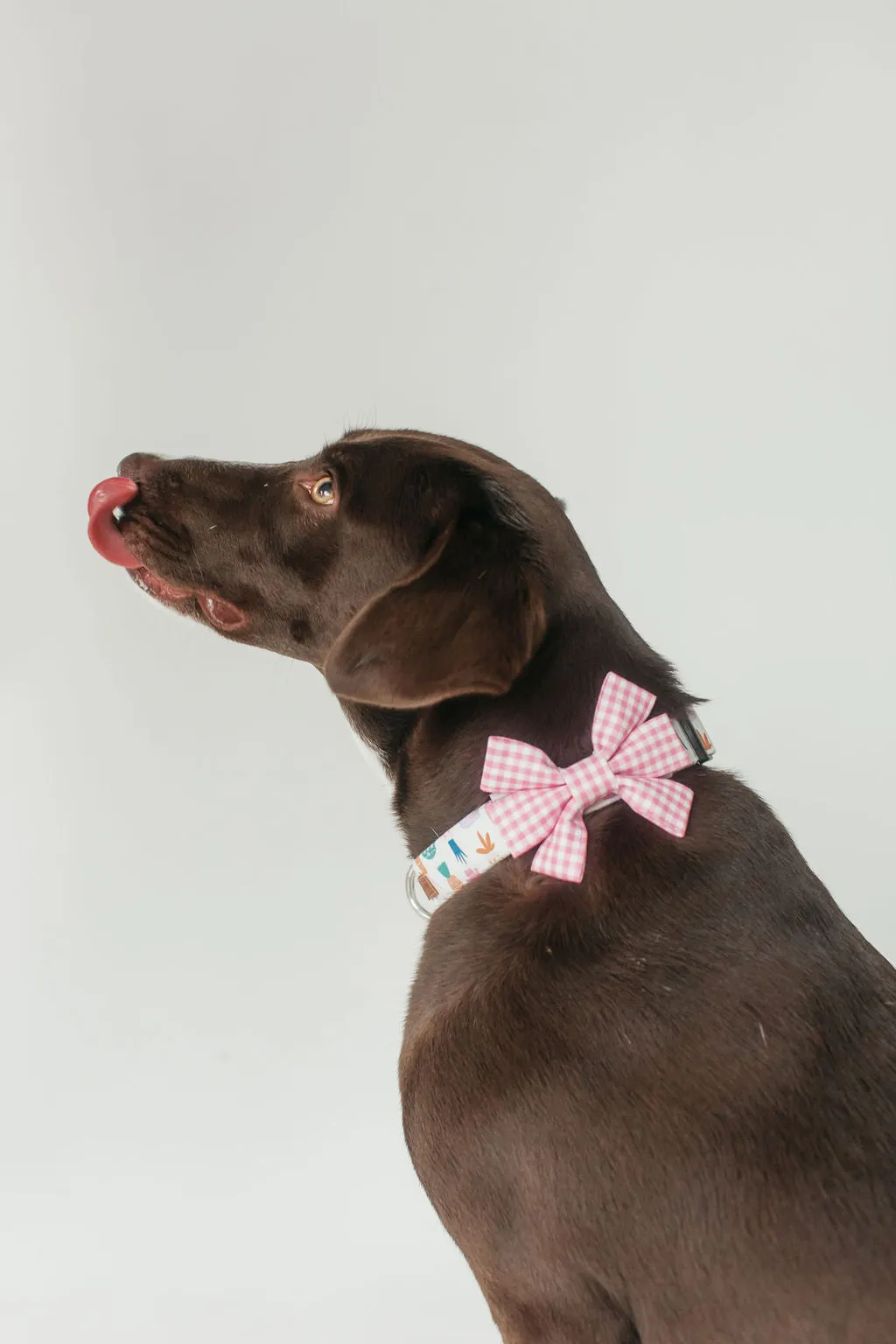 Baby Pink Mini Gingham