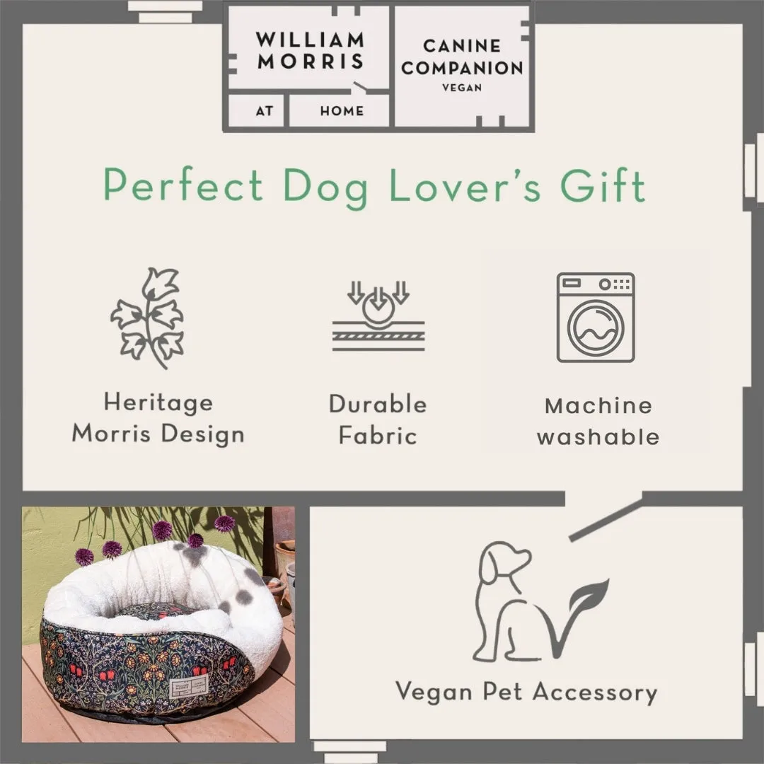 Canine Companion Cosy Pet Bed